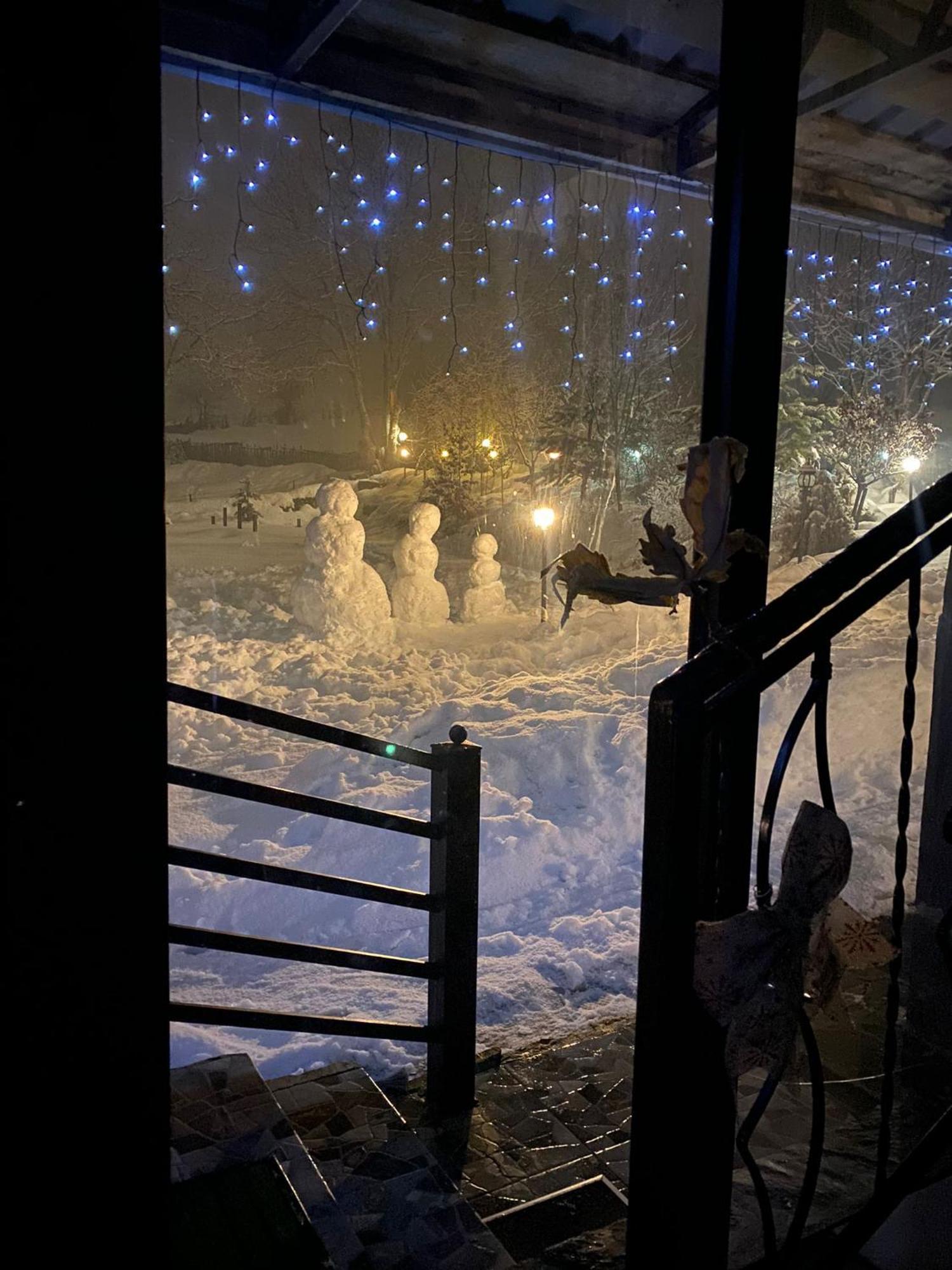 Roza'S Guest House メスティア エクステリア 写真